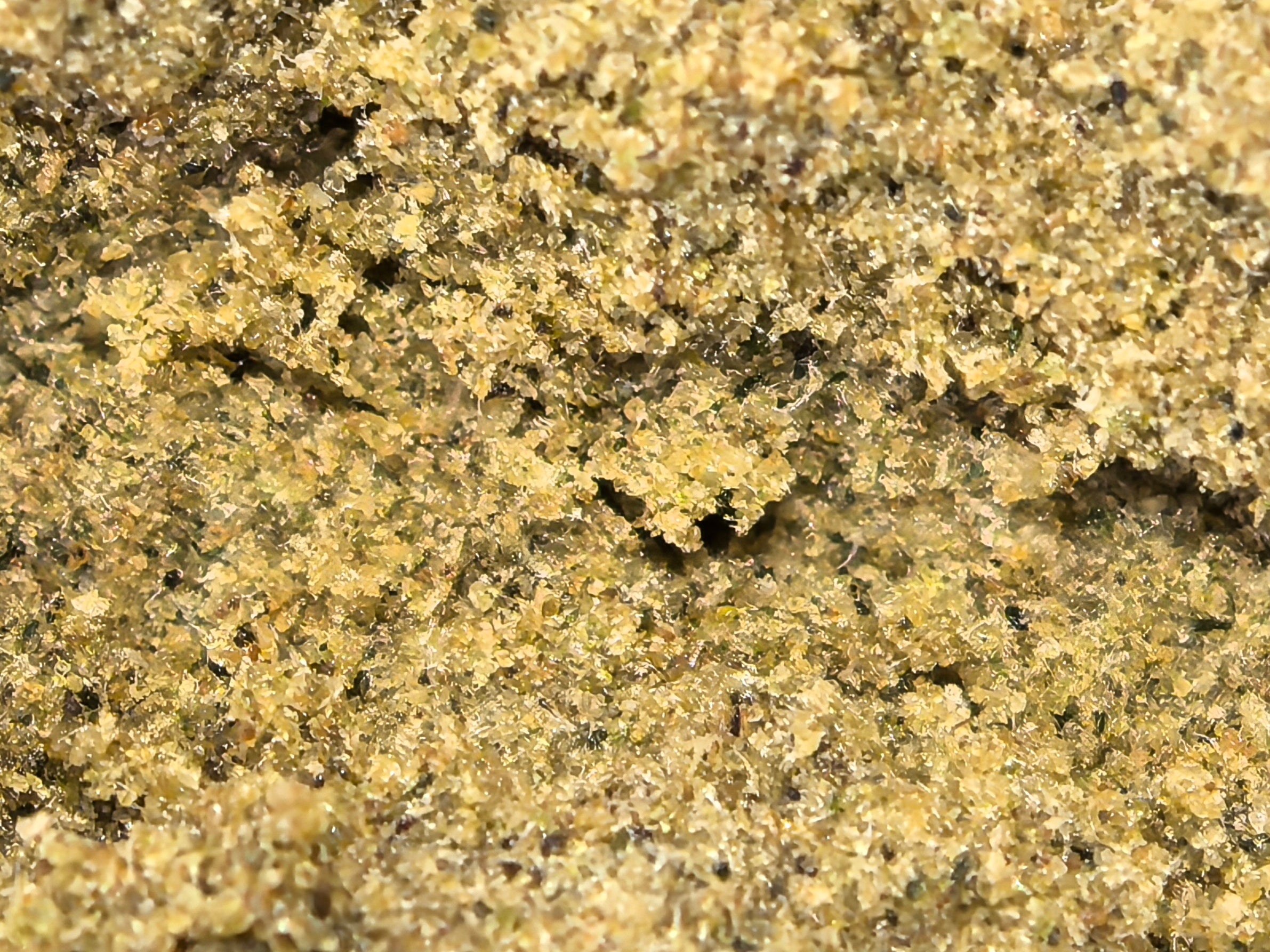 CBD Hasch 6-STAR - HAZE & KUSH - CBD Shop