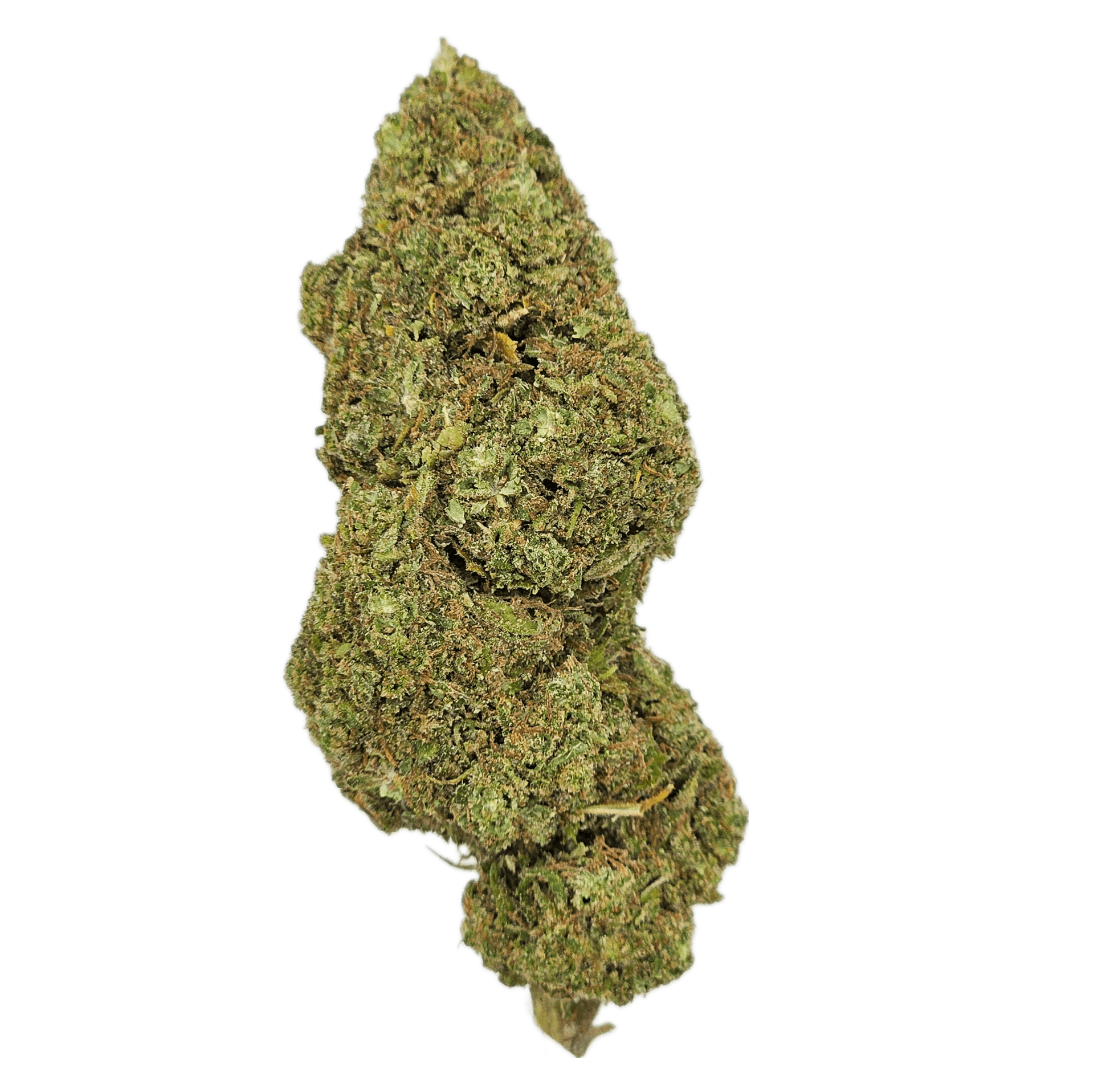 CBD Blüte "BUBBLE GUM" - HAZE & KUSH