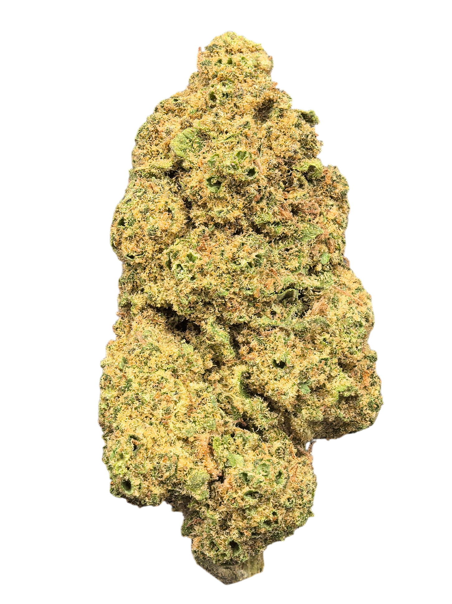 Bubblegum Gelato CBD Blüten 16,9 % – süß & cremig