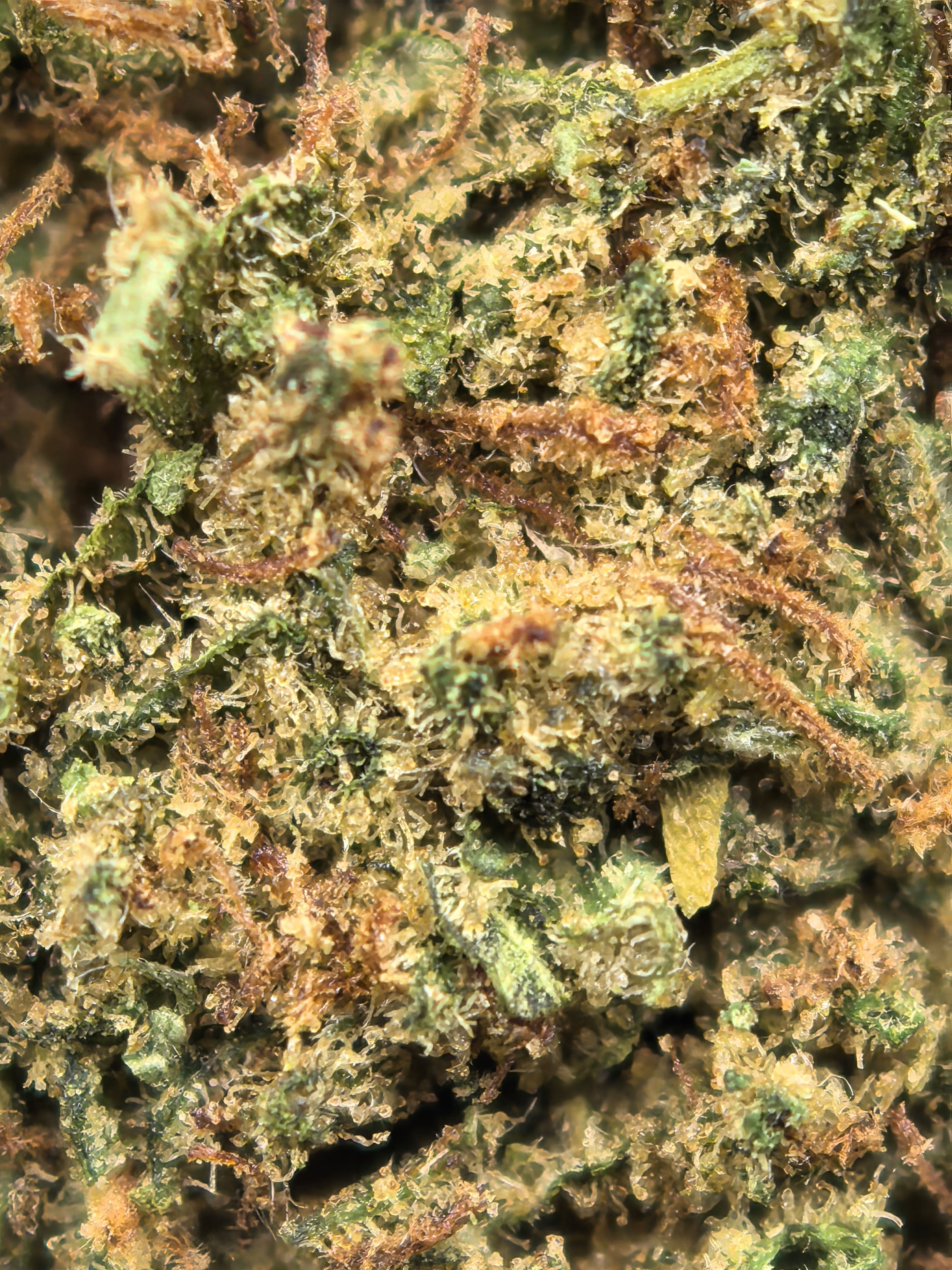 Chemdawg CBD Blüten 17,1 % – Diesel & würzig