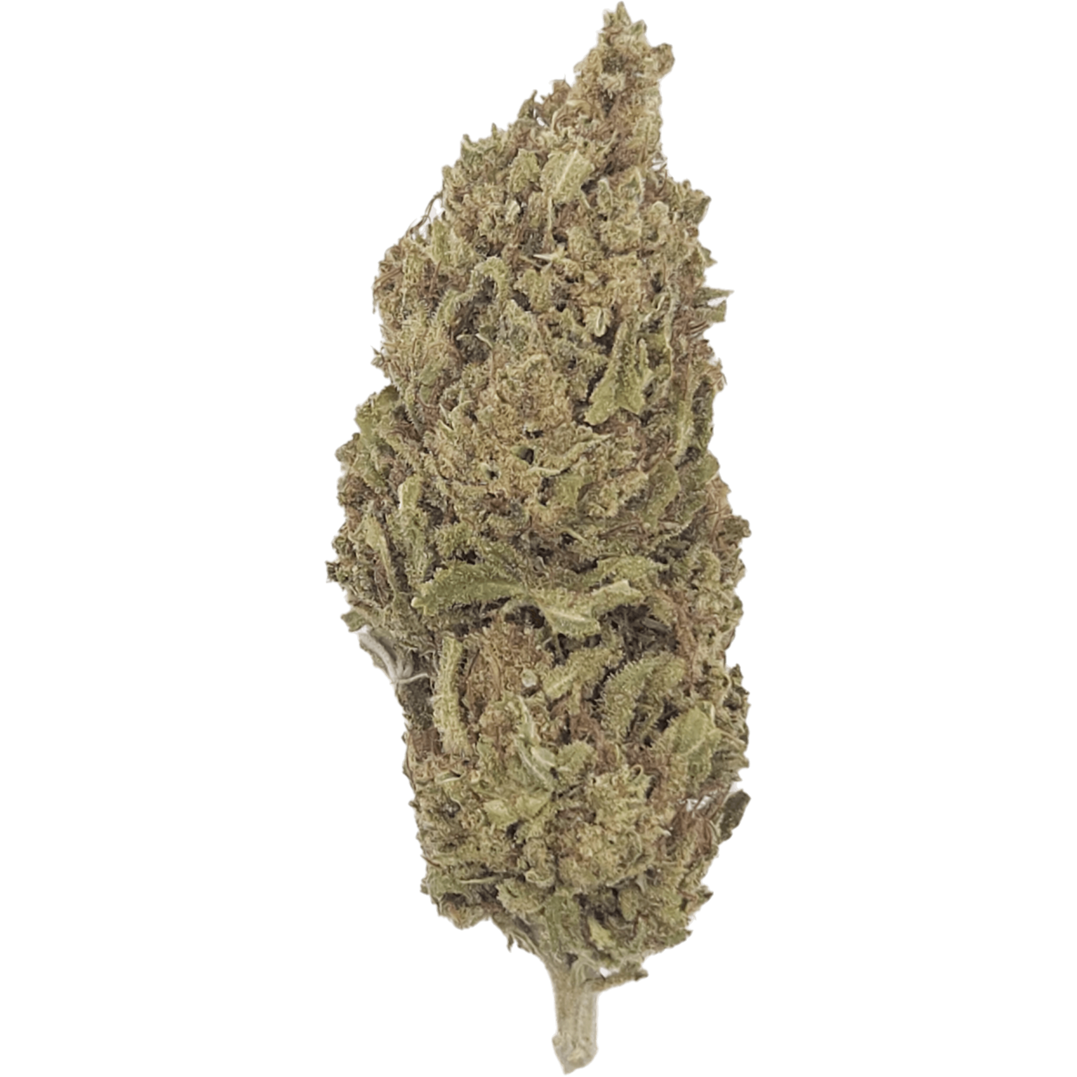 Cherry Coco CBD blossom with fruity cherry aroma and subtle coconut flavor, featuring 17.7% CBD and under 0.2% THC.