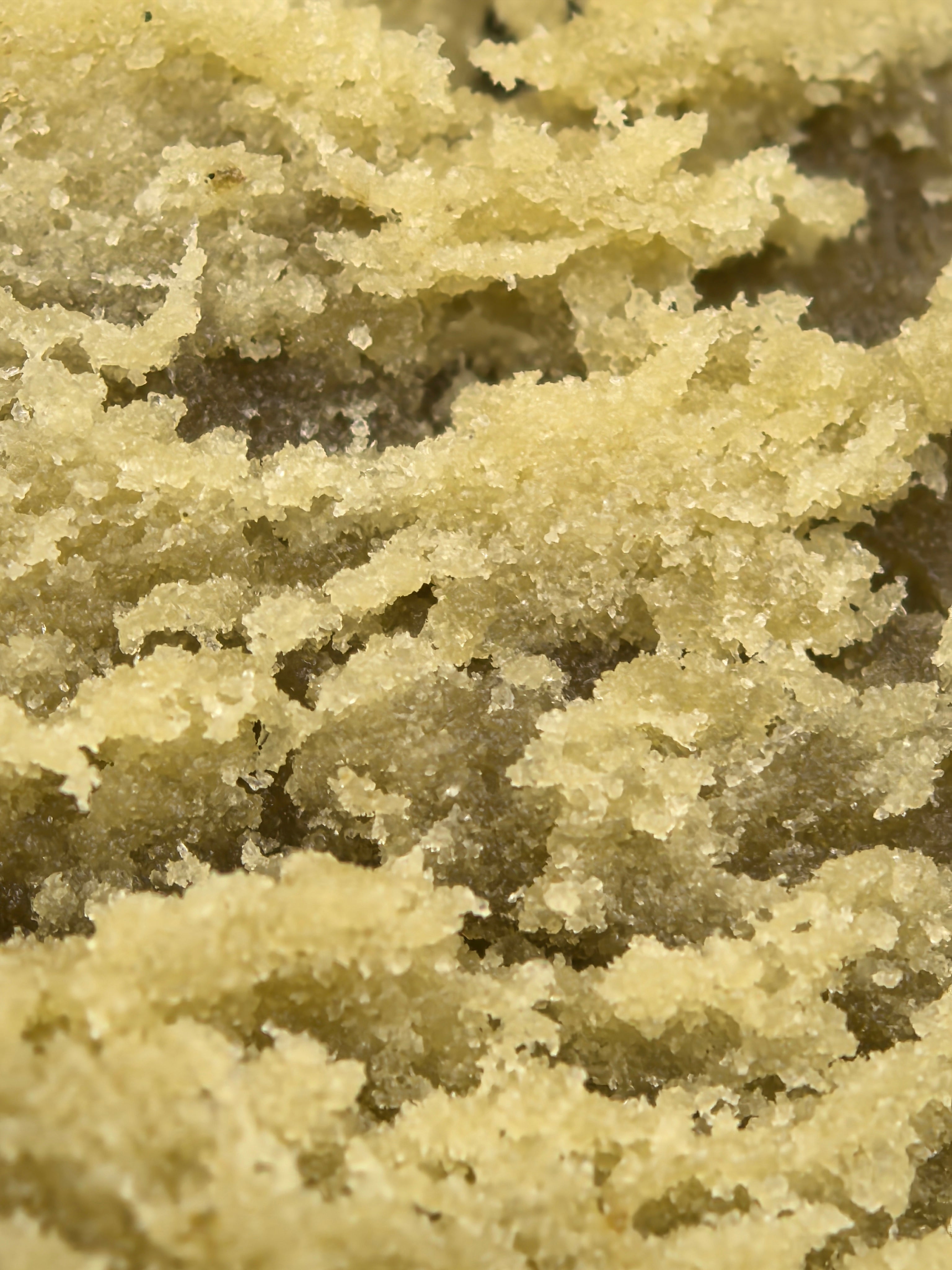 Double Zero CBD Hasch 68,63% – klassisches Dry Sift