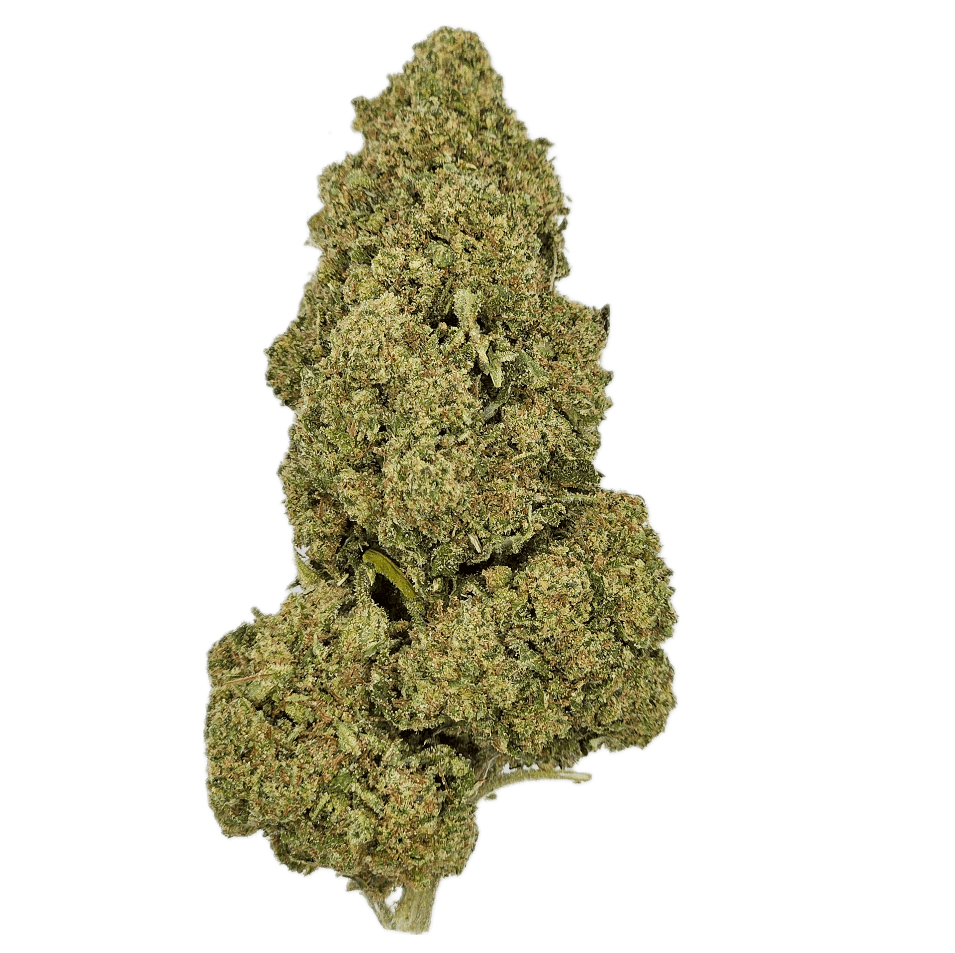 CBD Blüte "FRUIT" - HAZE & KUSH