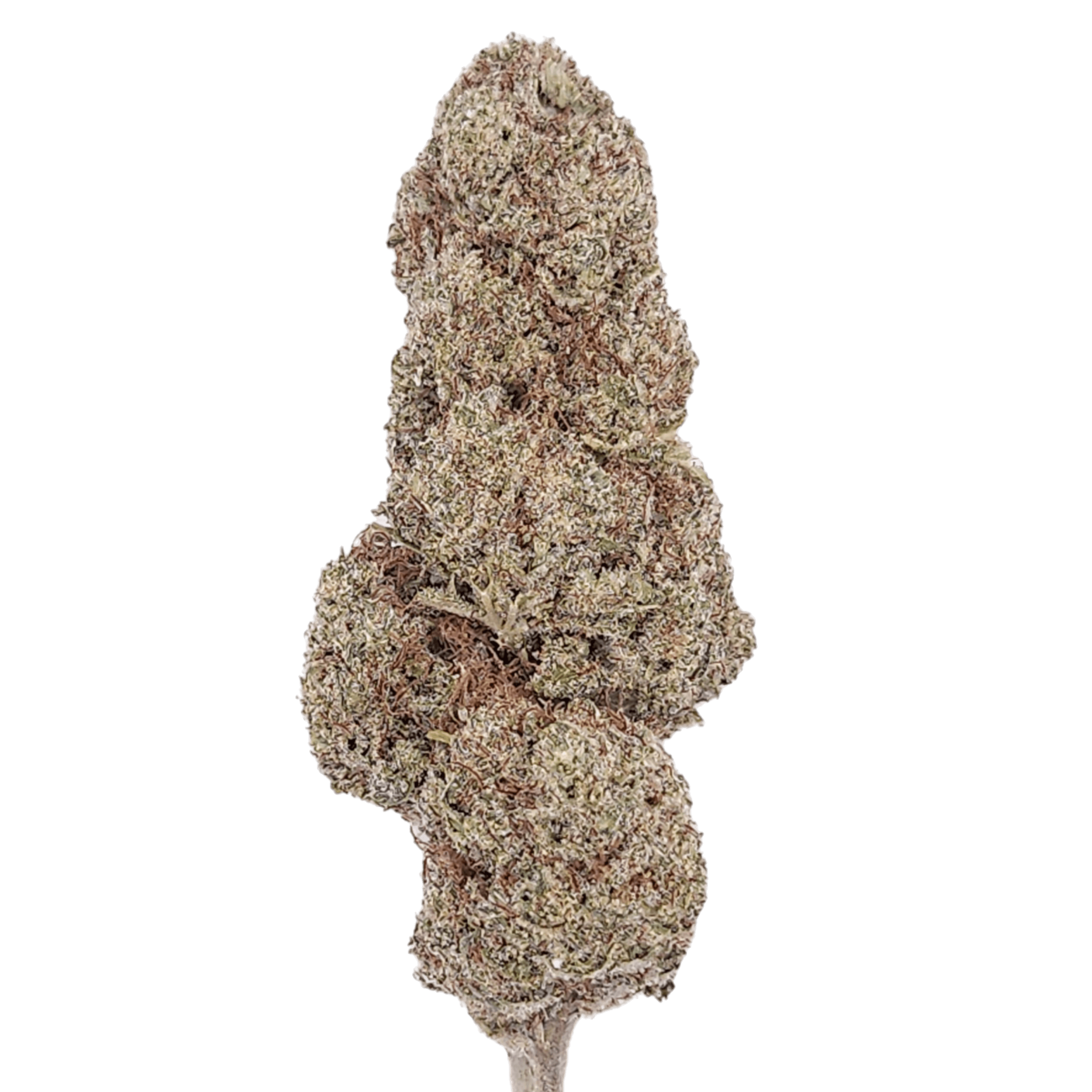 mit hohem CBD-Gehalt von 19,9% und einzigartigem, würzigen Aroma.