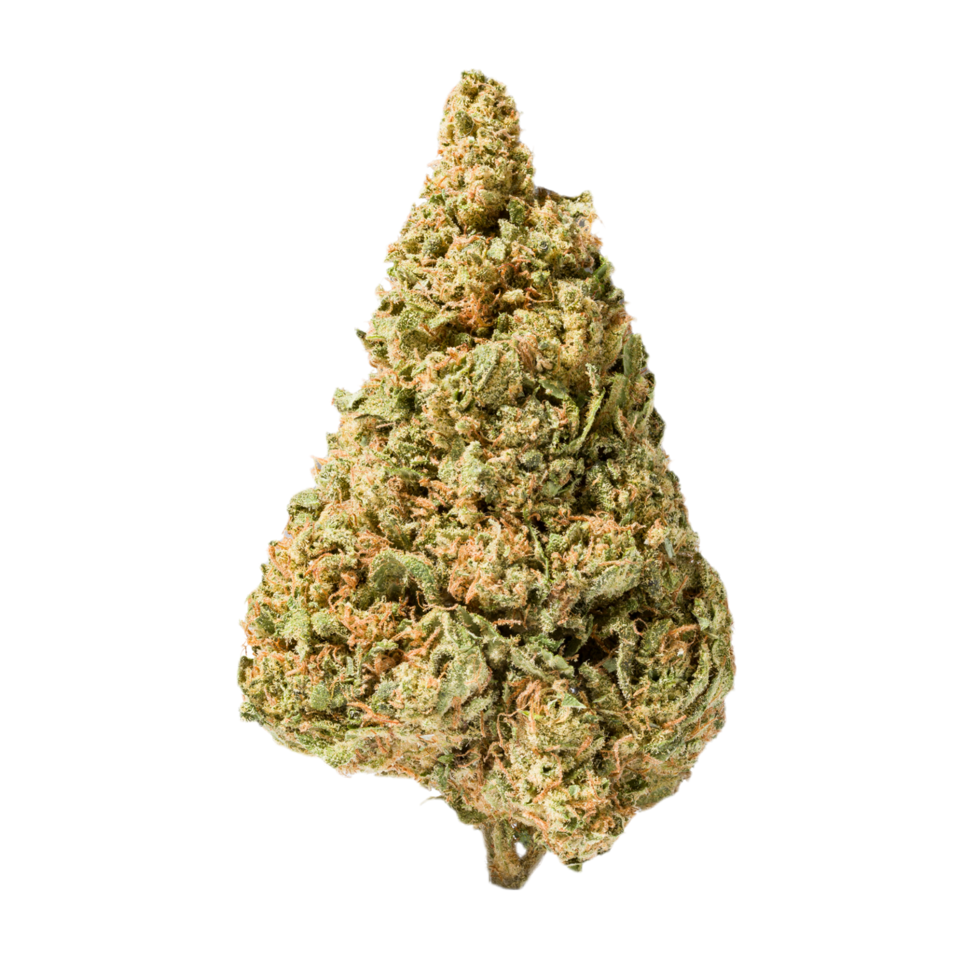 Blüte Nahaufnahme London Pound Cake