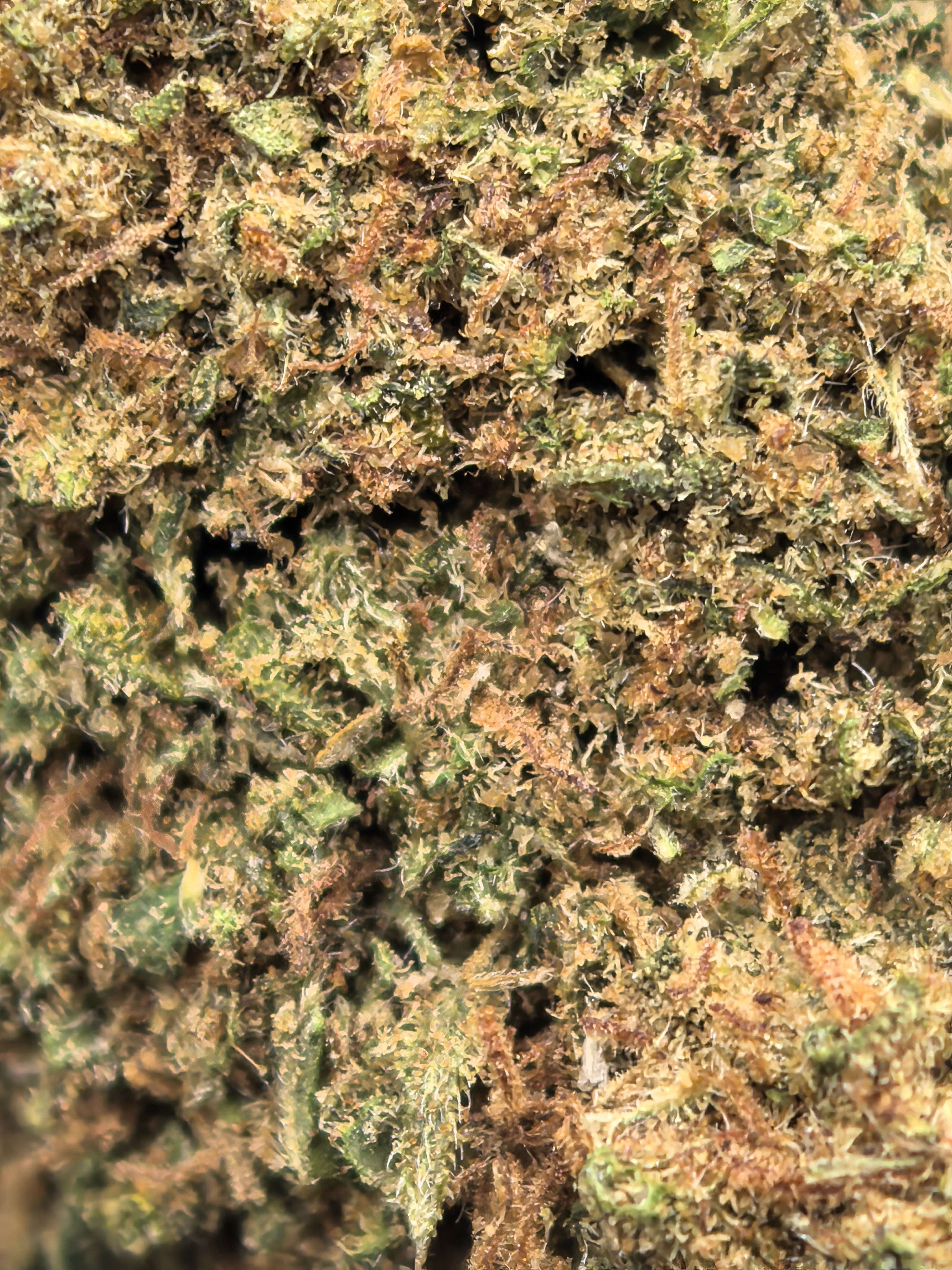 Pineapple Jet CBD Blüten 17,9 % – tropisch & süß