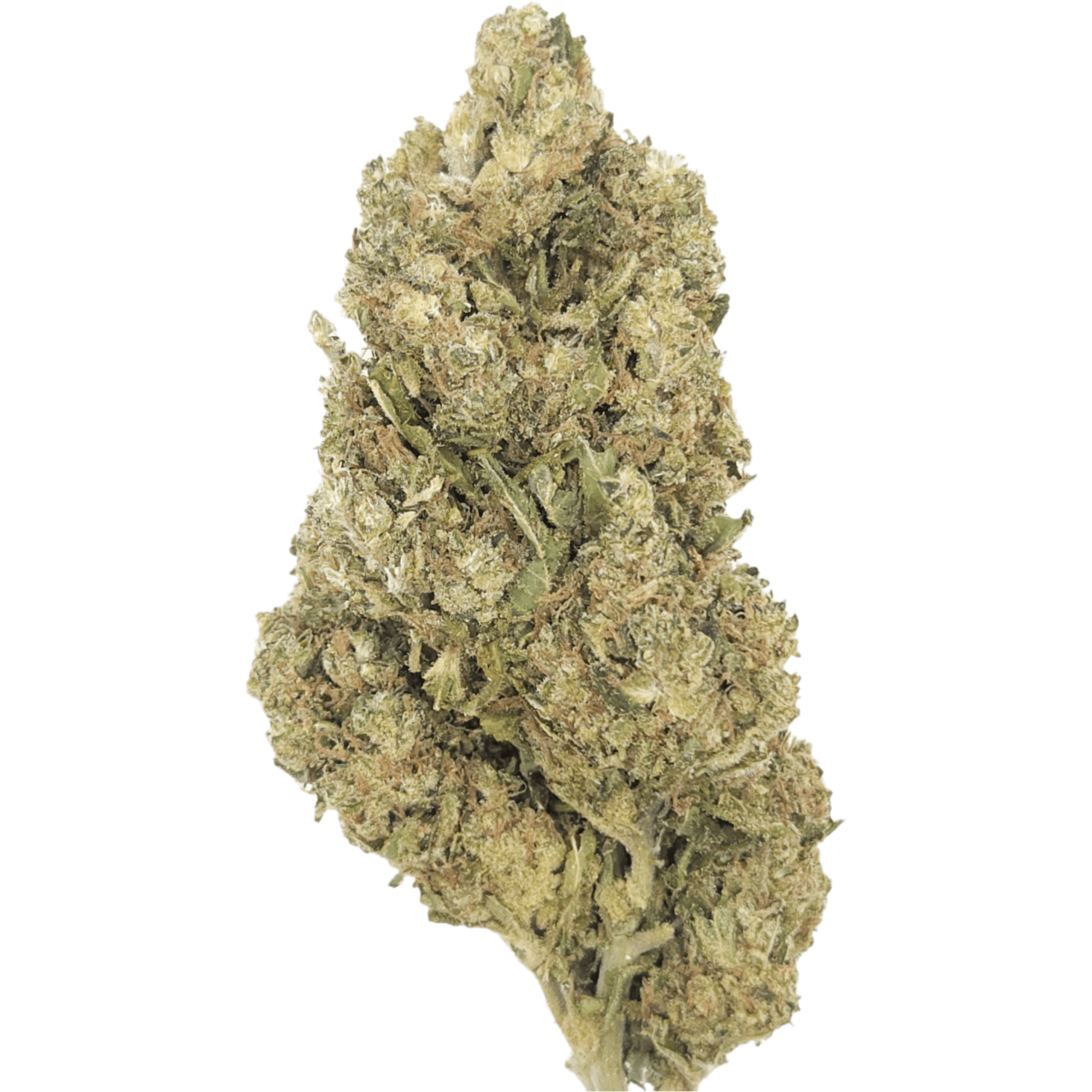 CBD Blüten Kaufen "WATERMELON SKITTLEZ" - HAZE & KUSH - CBD Shop
