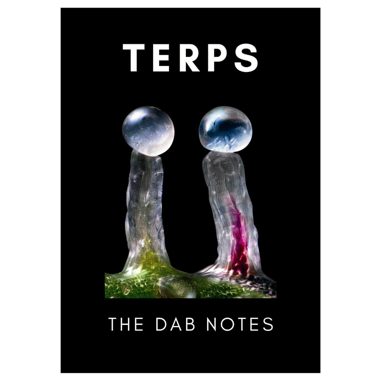 The Dab Notes
