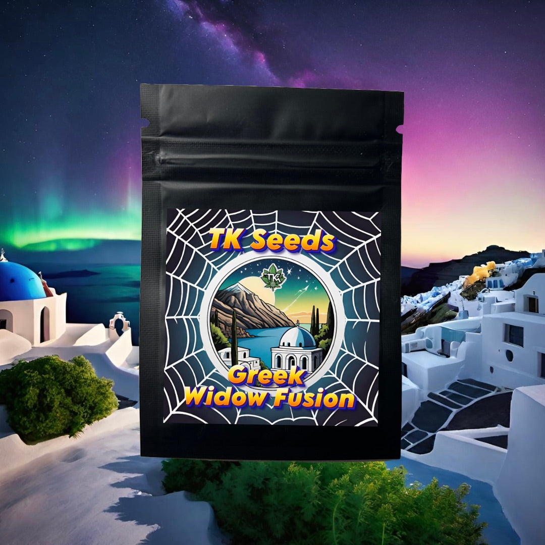 Greek Widow Fusion – TK Seeds - HAZE & KUSH - CBD Shop