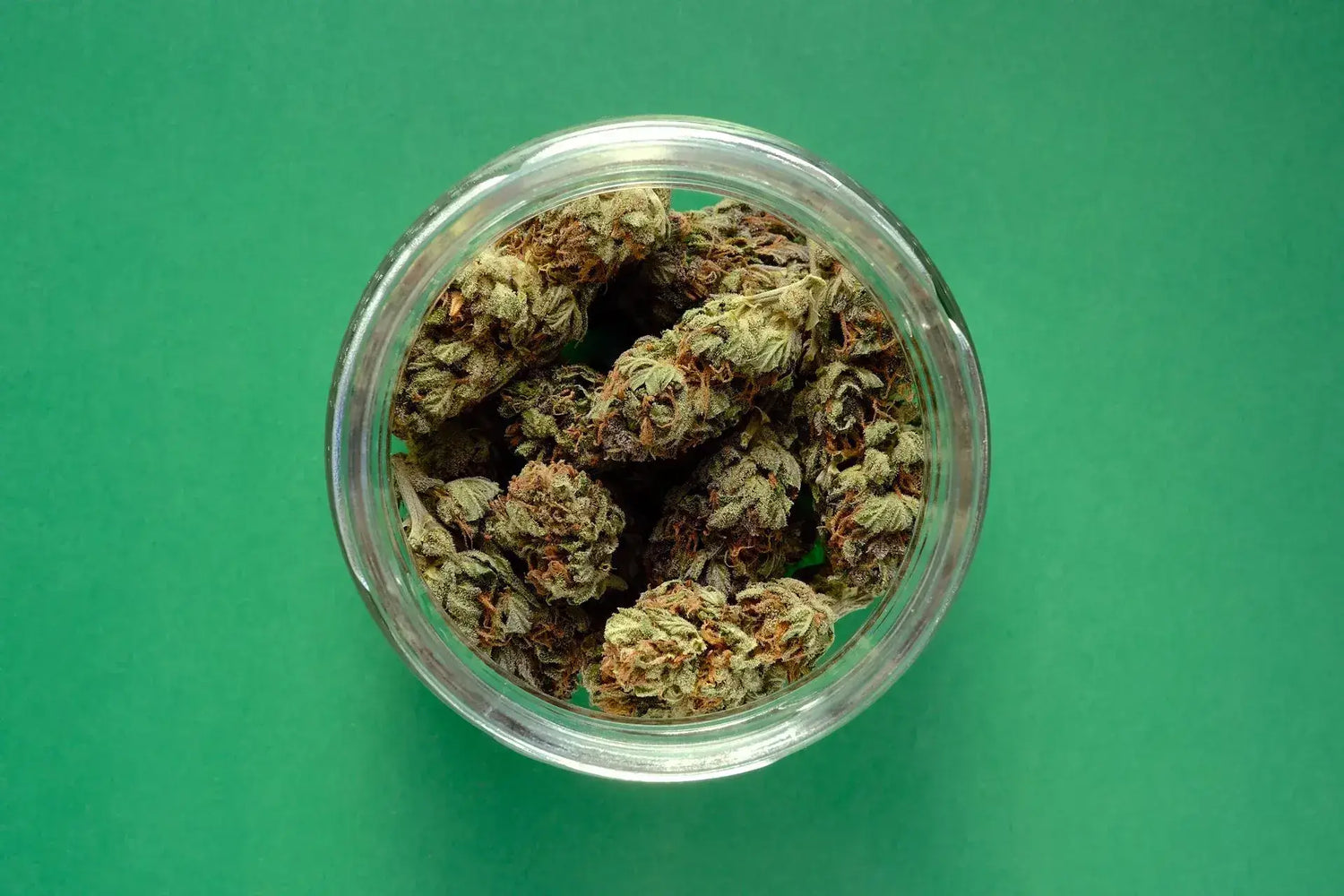 Die faszinierende Welt der CBD Blüten: Eine tiefergehende Betrachtung ihrer Wirkungsweise