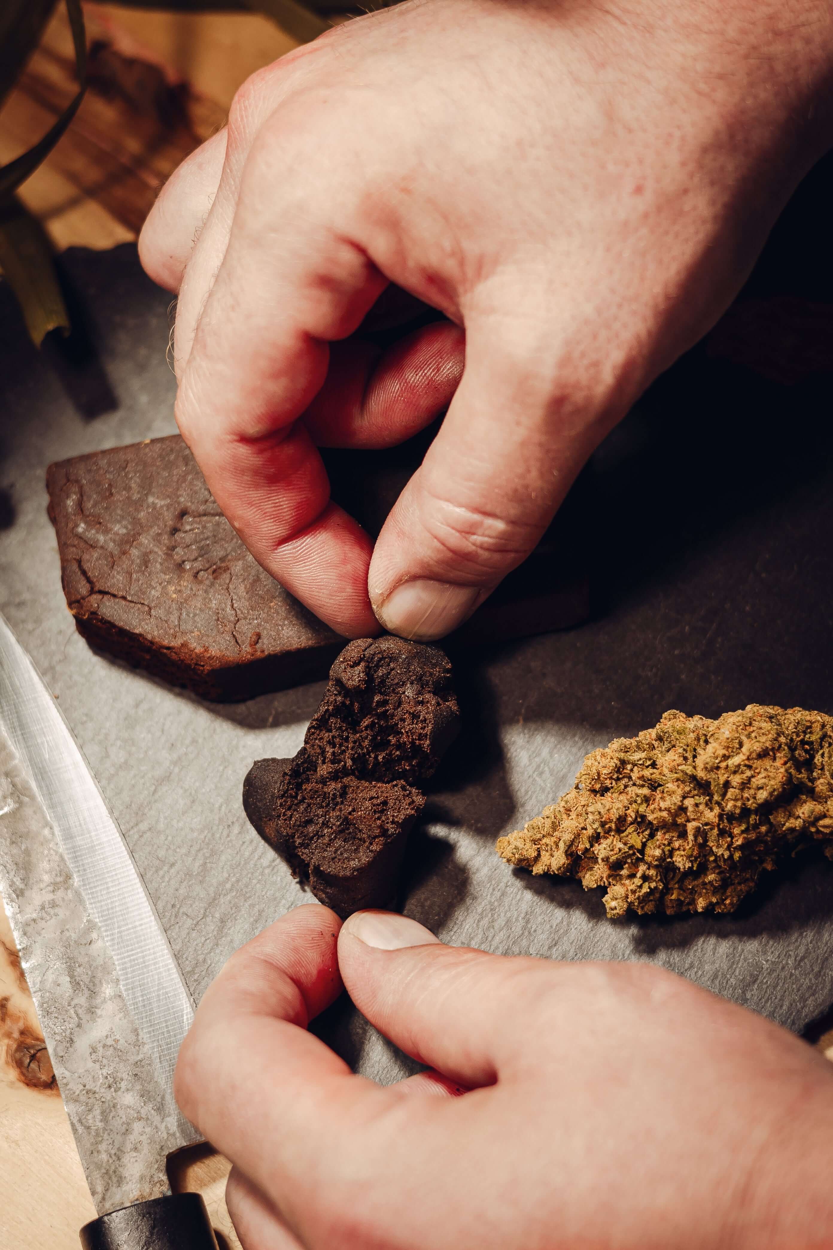Close-up of hands examining CBD hash products, showcasing diverse textures of alle produkte.