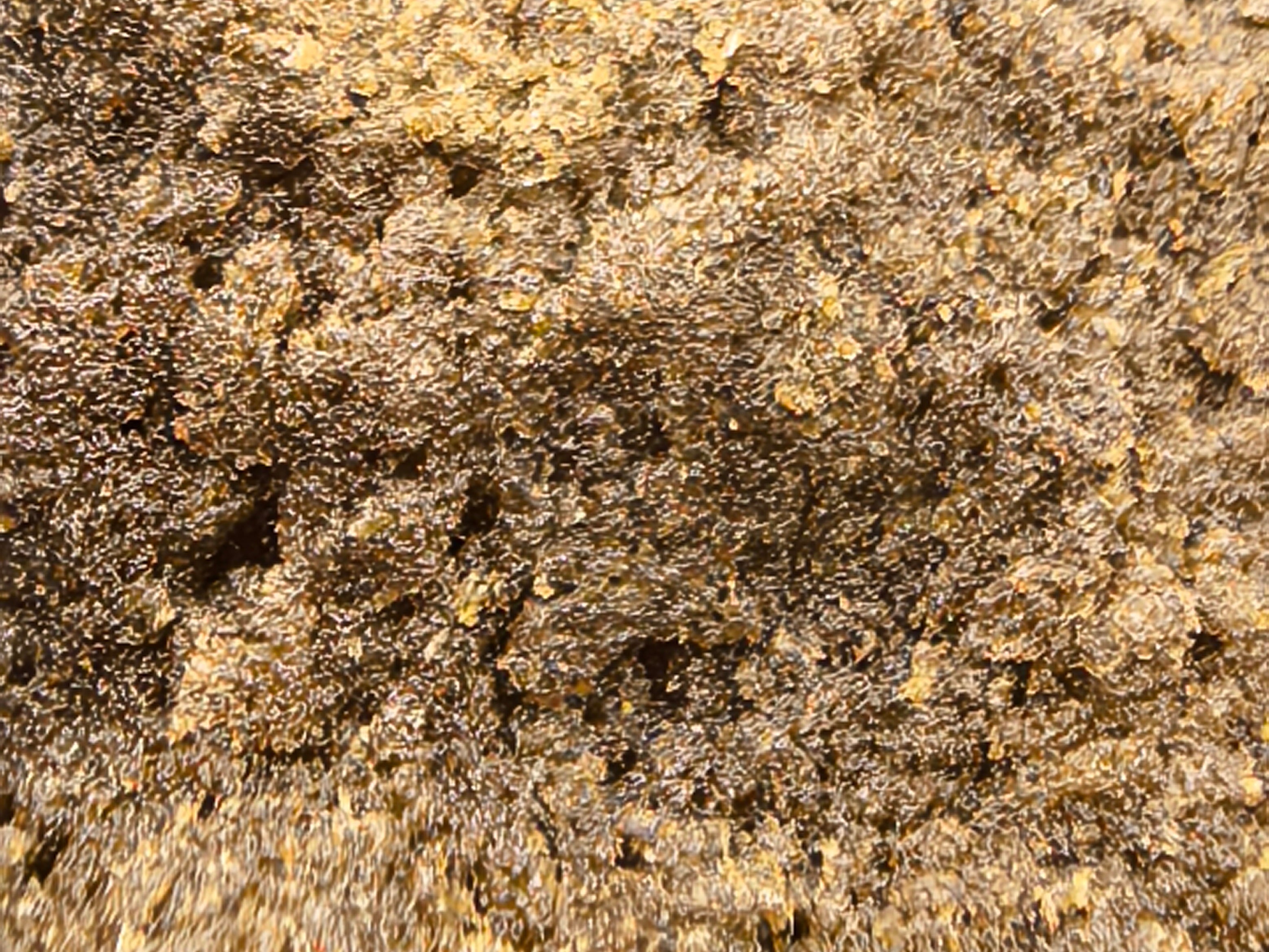 CBN Hasch FRESH FROZEN - HAZE & KUSH - CBD Shop