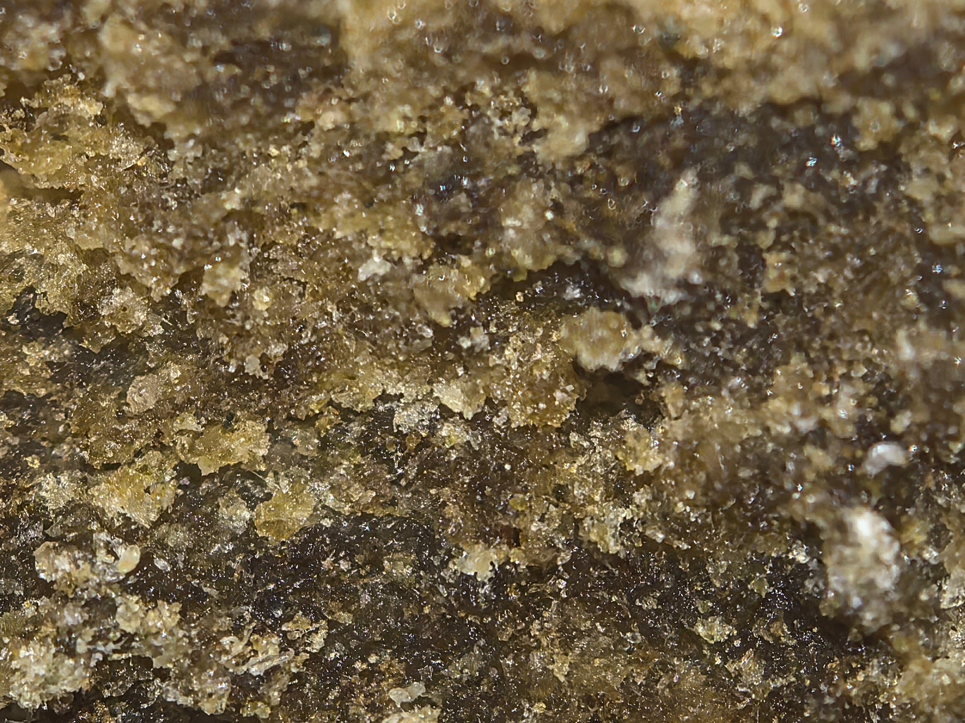 CBD Hasch FRESH FROZEN - HAZE & KUSH - CBD Shop