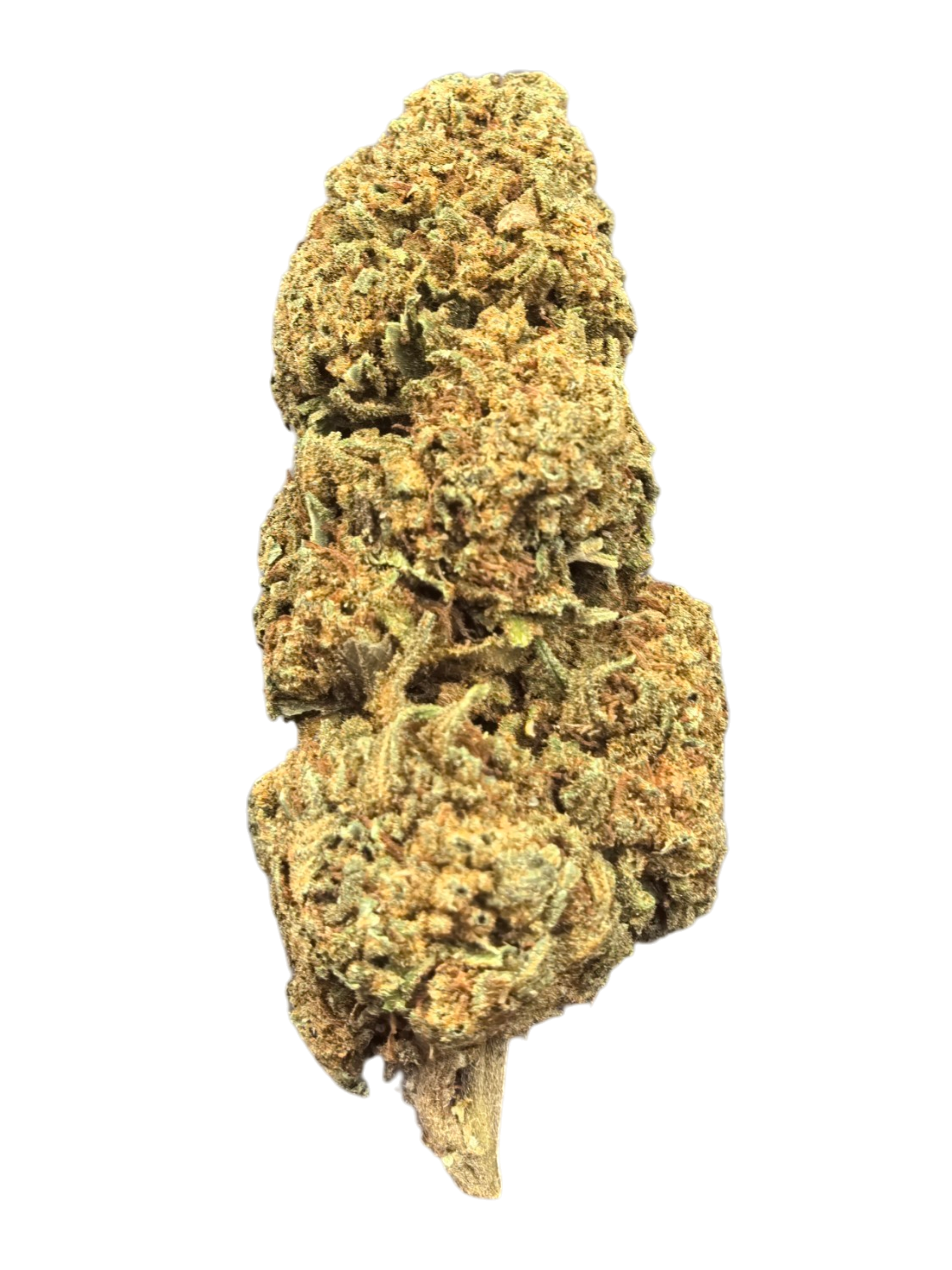 Gary Payton CBD Blüten 9,15% CBD + 11,37% CBG – cremig & komplex