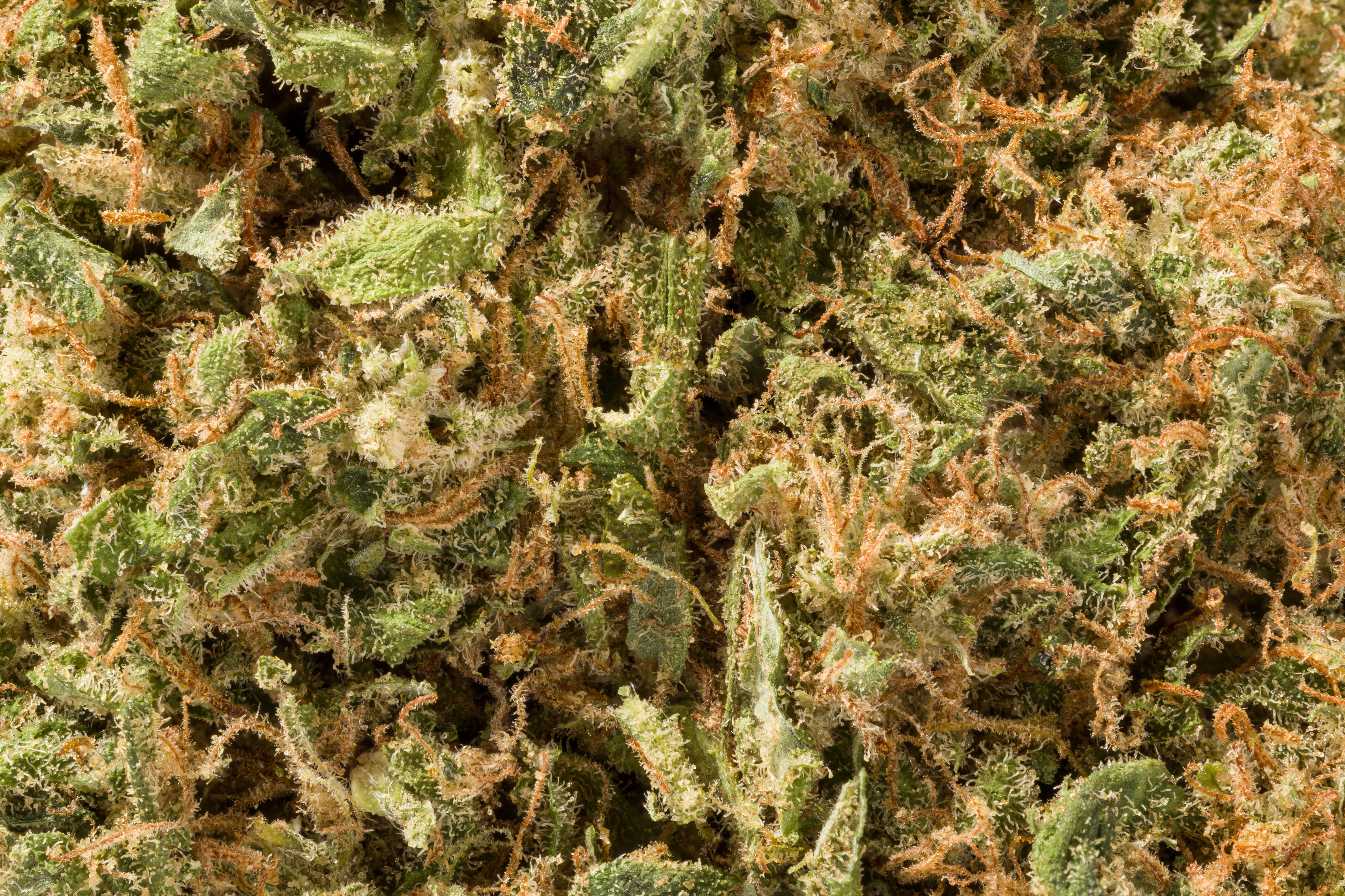 CBD Blüten LONDON POUND CAKE