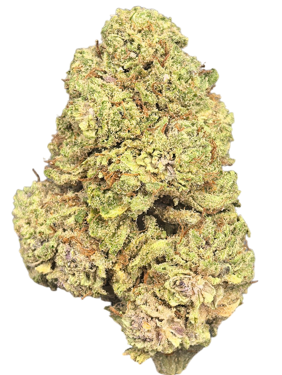NORTHERN LIGHTS CBD Blüten 6,4% – erdig, würzig & harzig