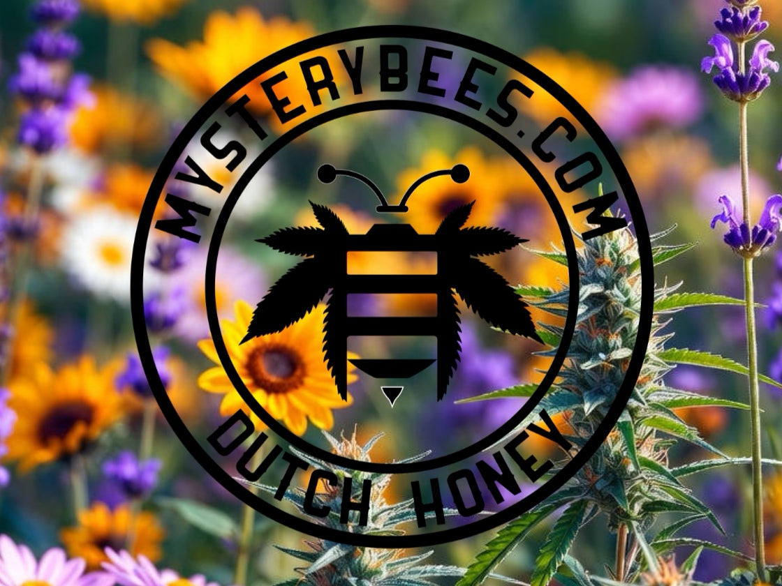 CBD Lippenbalsam - Mysterybees