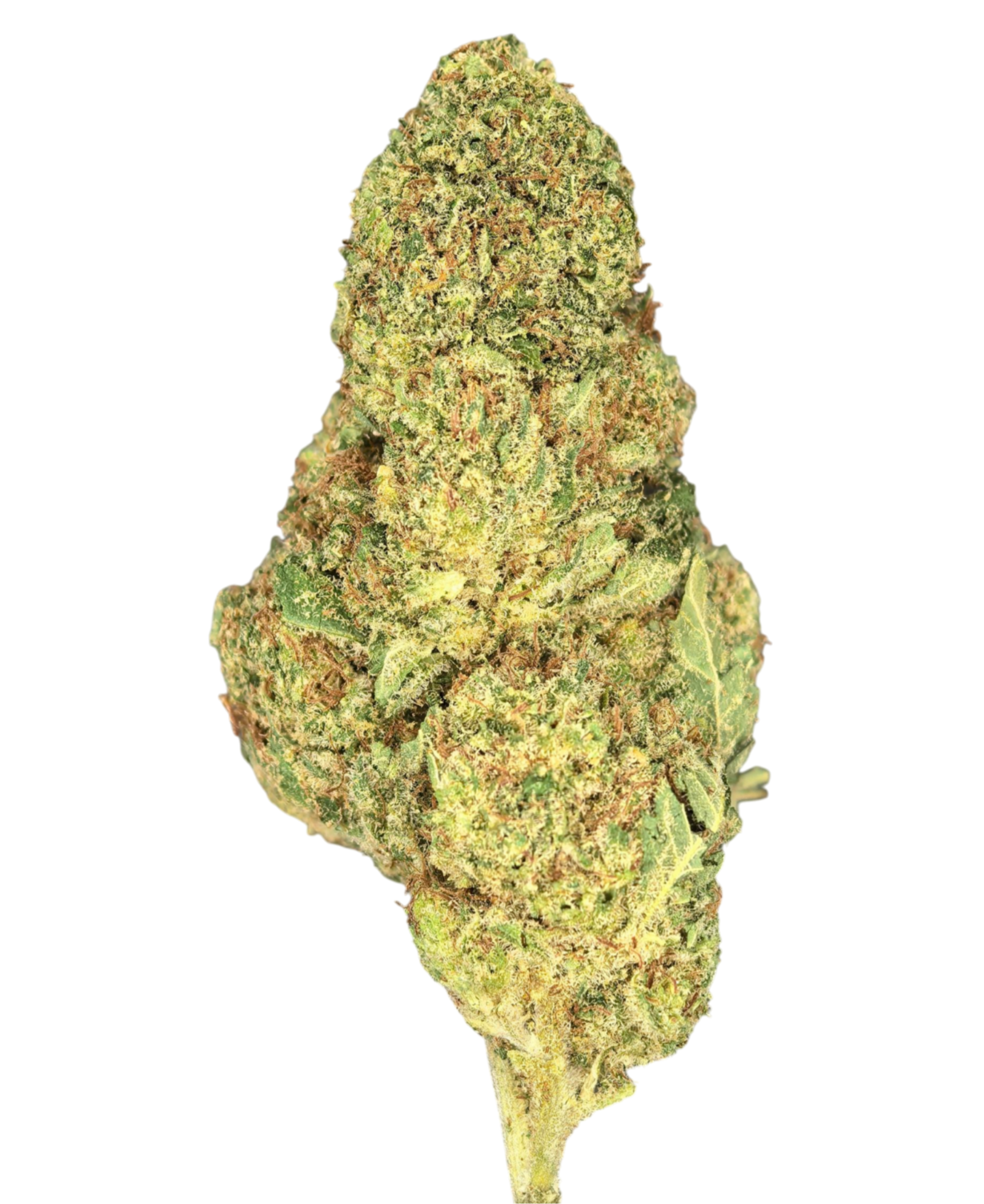 CBD Blüten "PINK RUNTZ"