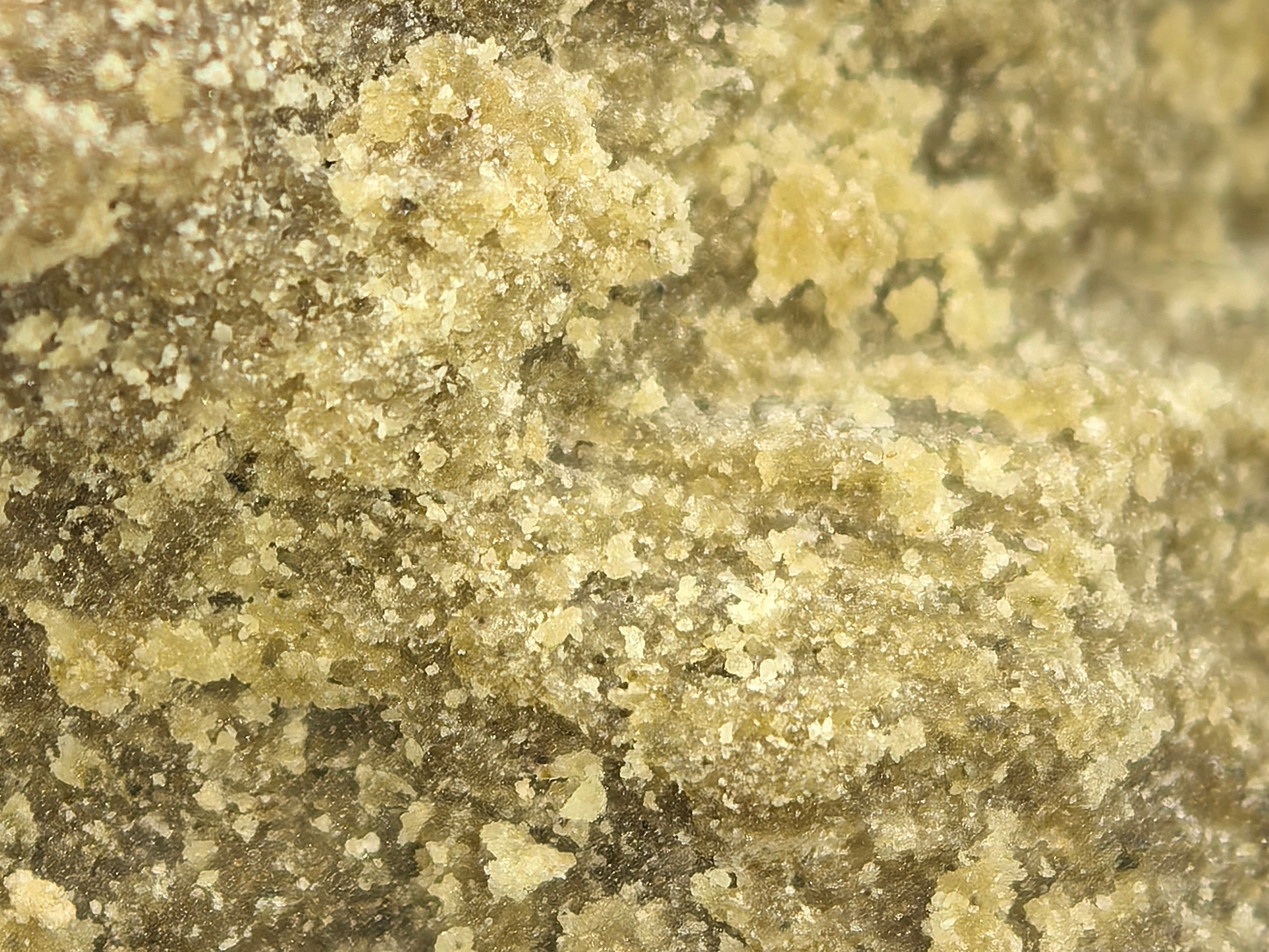 CBD Hasch STATIC SIFT 75 - HAZE & KUSH - CBD Shop