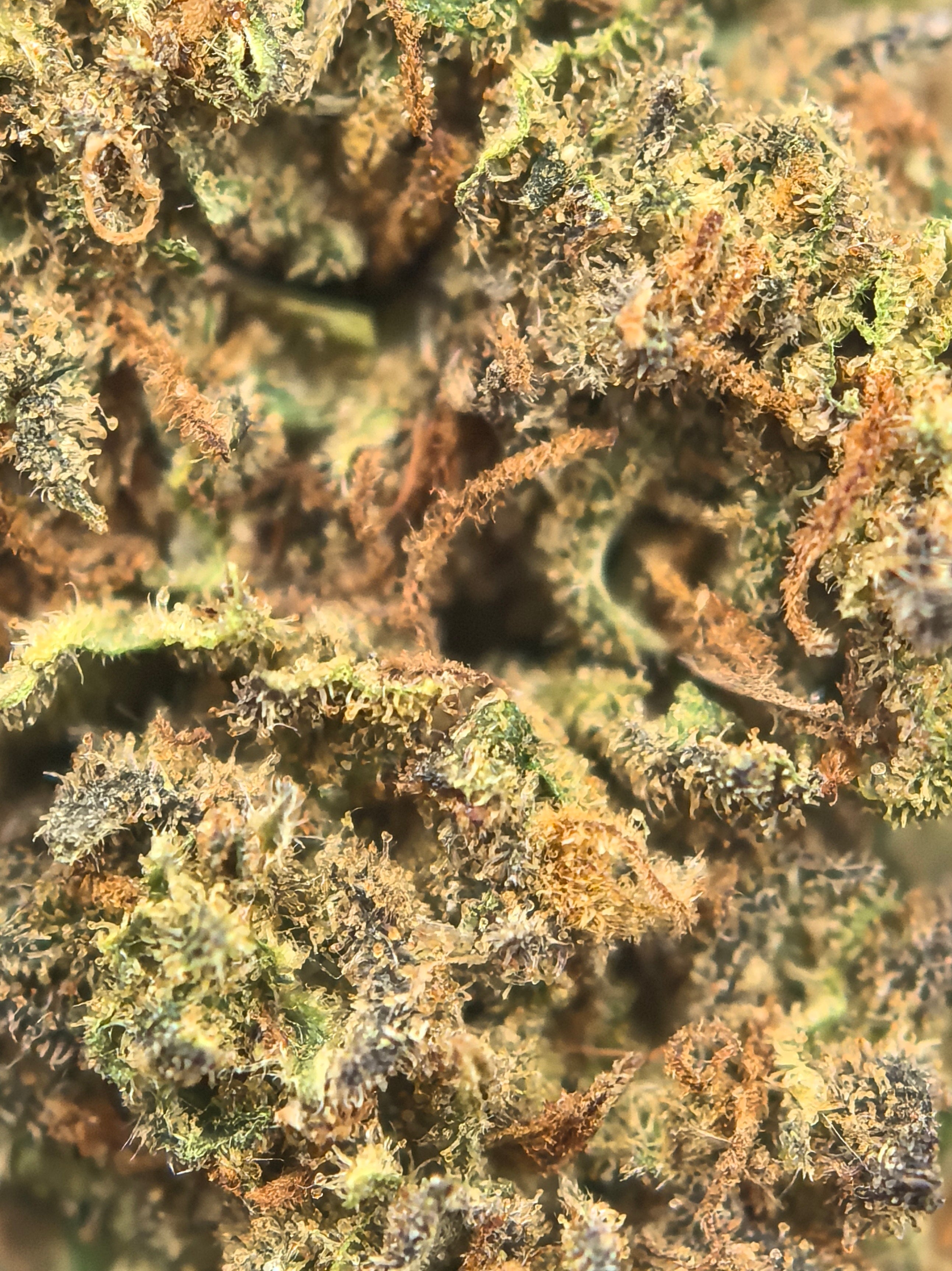 CBD Blüte STRAWBERRY BANANA