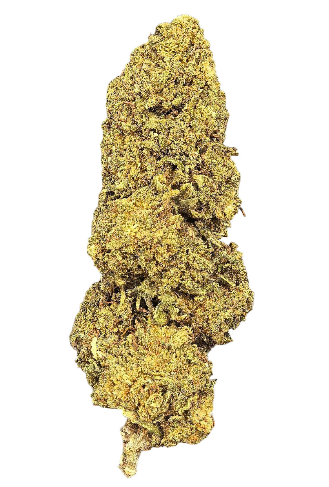 Tangie Dream CBD Blüten 7,03% CBD + 2,61% CBG – zitrisch, würzig & gassy