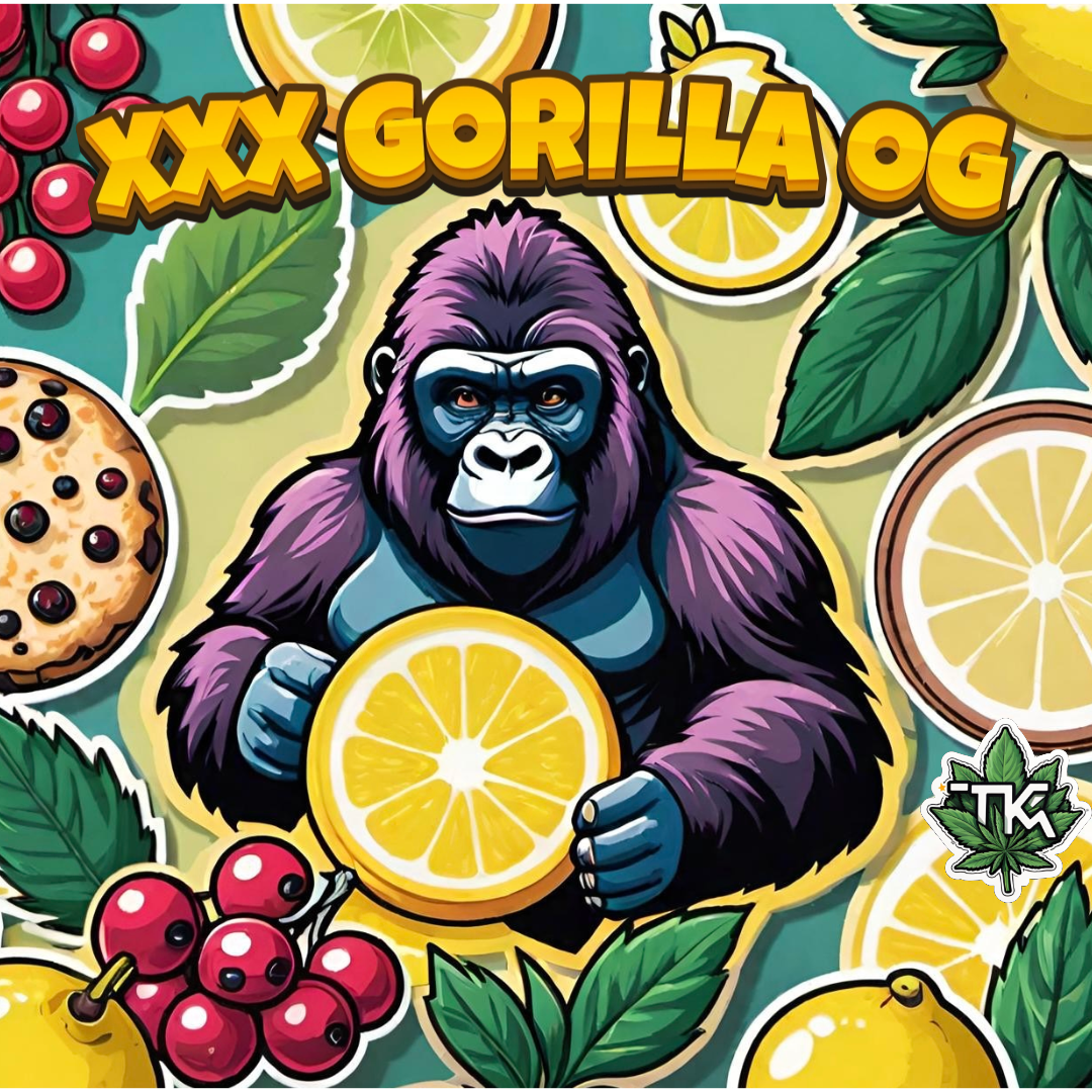 XXX Gorilla OG – TK Seeds