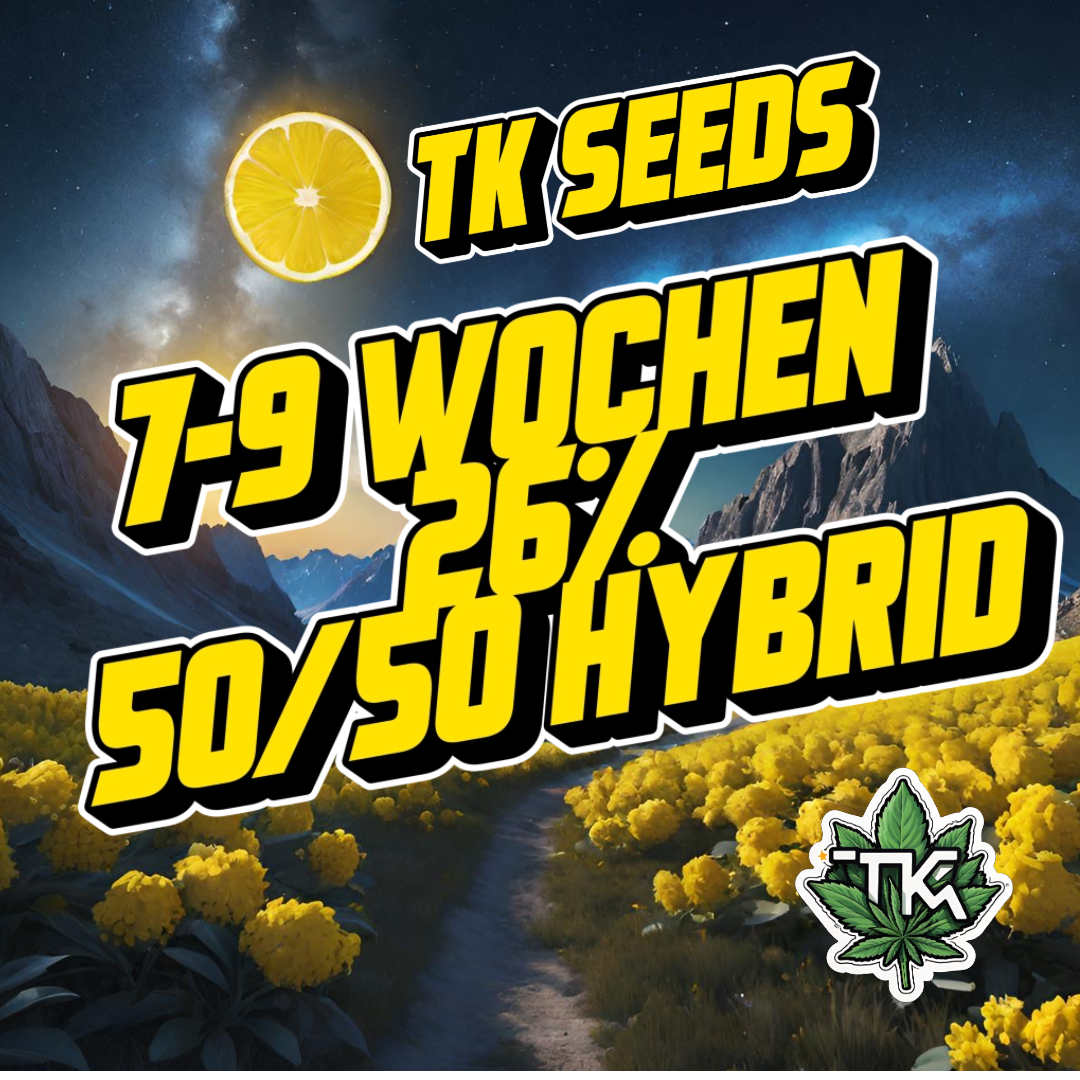 Lemonade Dream – TK Seeds