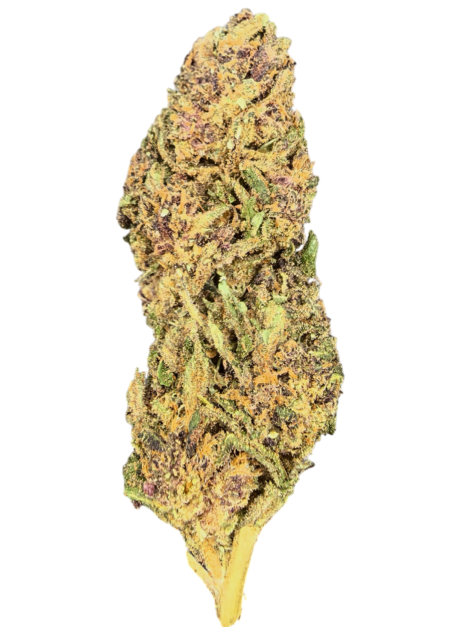 Yuzu CBD Blüten 13,05% – zitrisch & floral