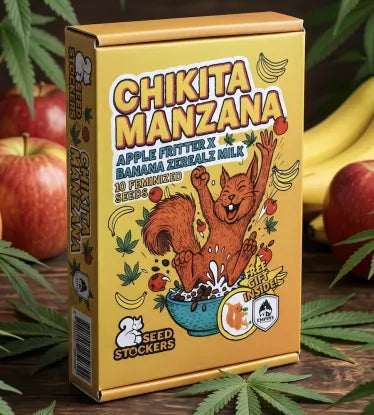Chikita Manzana® Feminisierte Hanfsamen – Limited Edition | Nur 225 Boxen weltweit