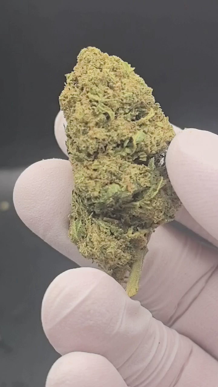 Lemon Mandarine video