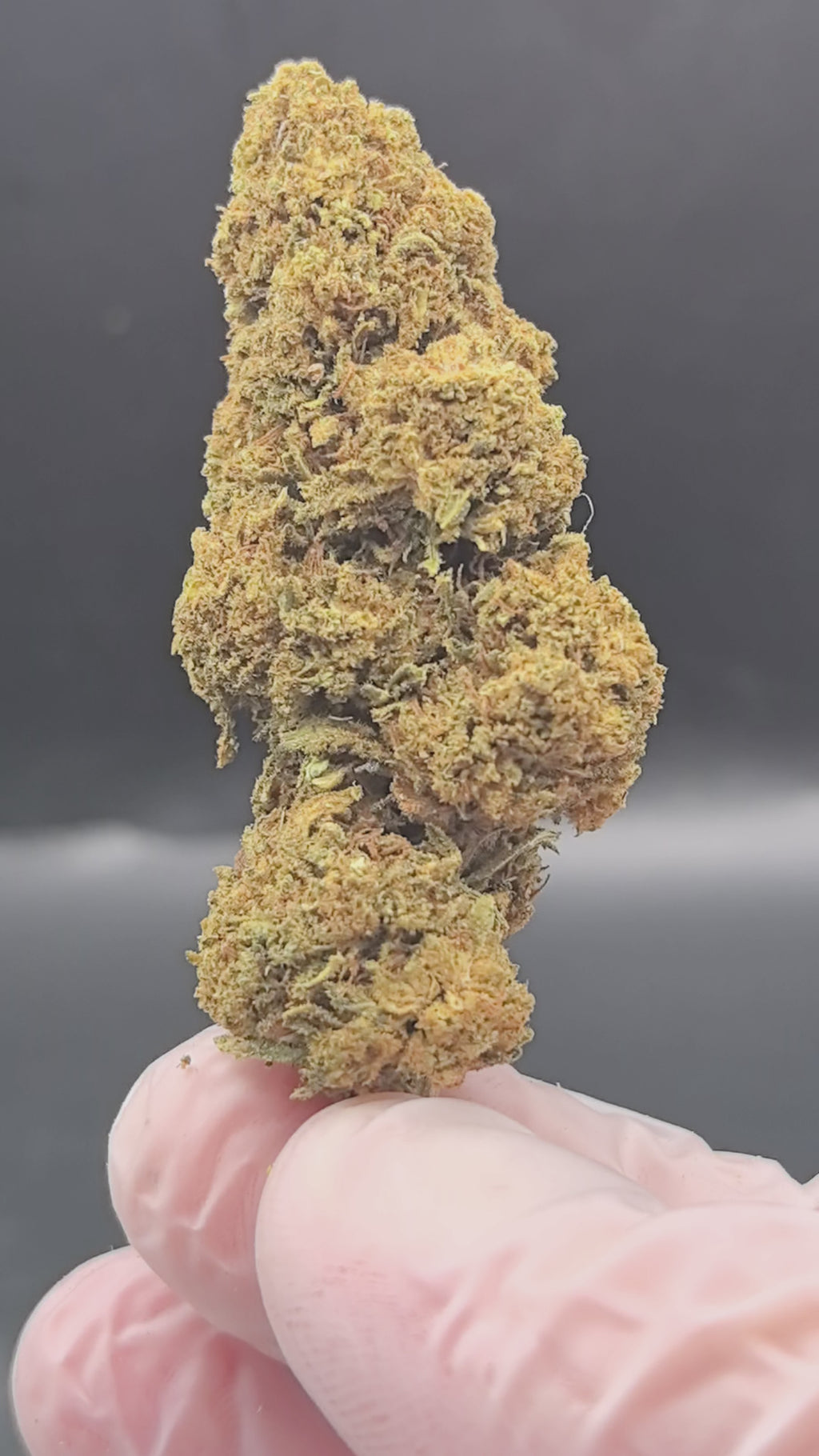 Tangie Dream CBD Blüte Video