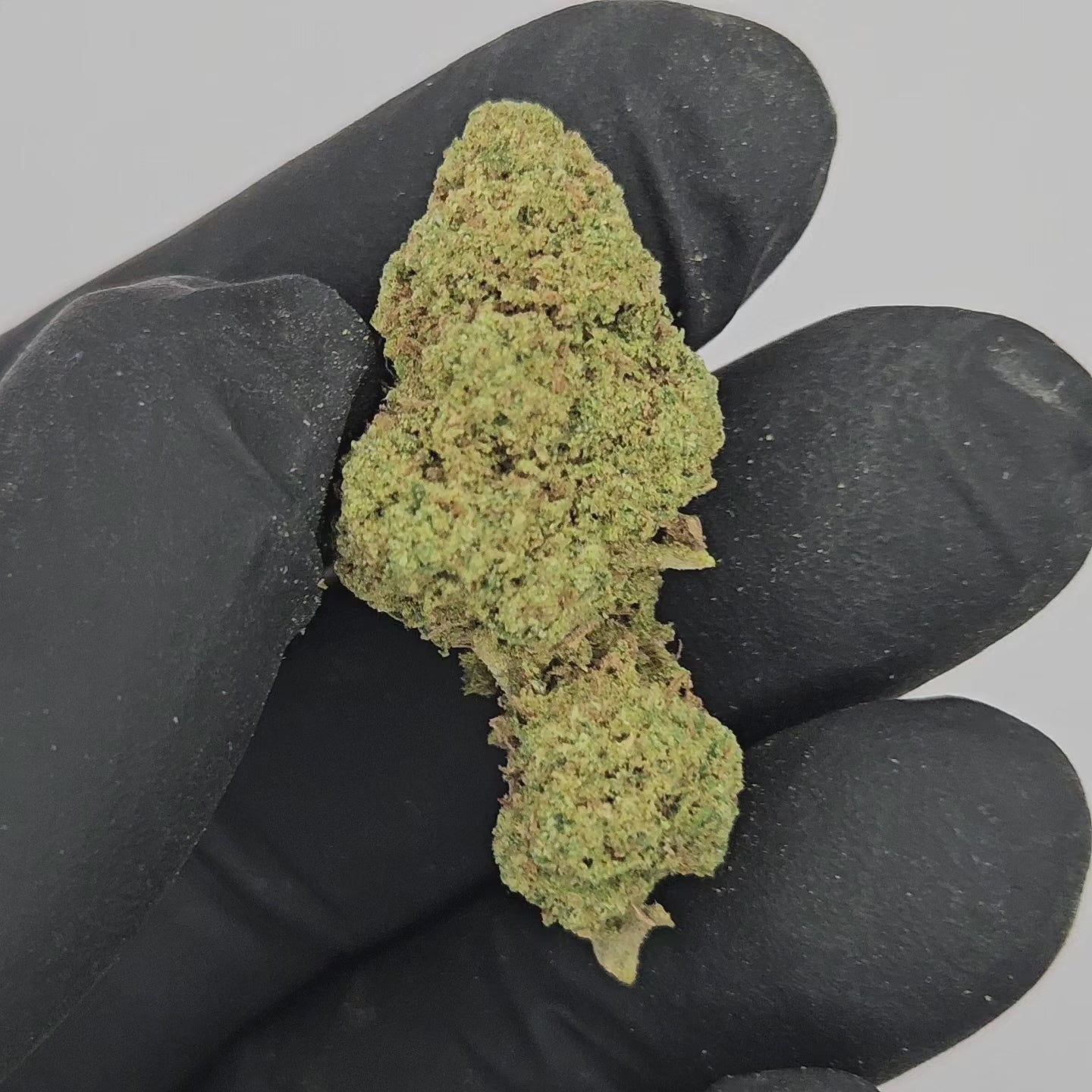 Premium CBD Blüten "Candy Kush" mit intensivem, süßem Aroma und 18,1% CBD-Gehalt.