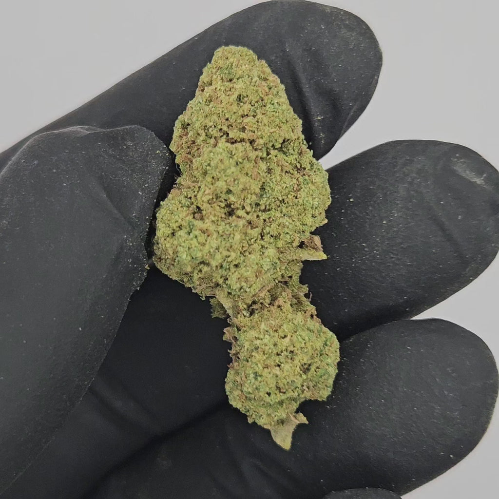 Premium CBD Blüten "Candy Kush" mit intensivem, süßem Aroma und 18,1% CBD-Gehalt.