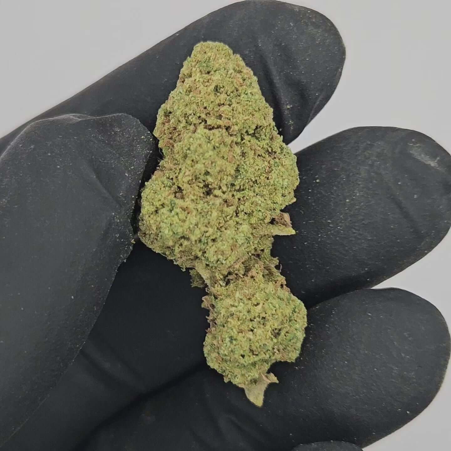 Premium CBD Blüten "Candy Kush" mit intensivem, süßem Aroma und 18,1% CBD-Gehalt.