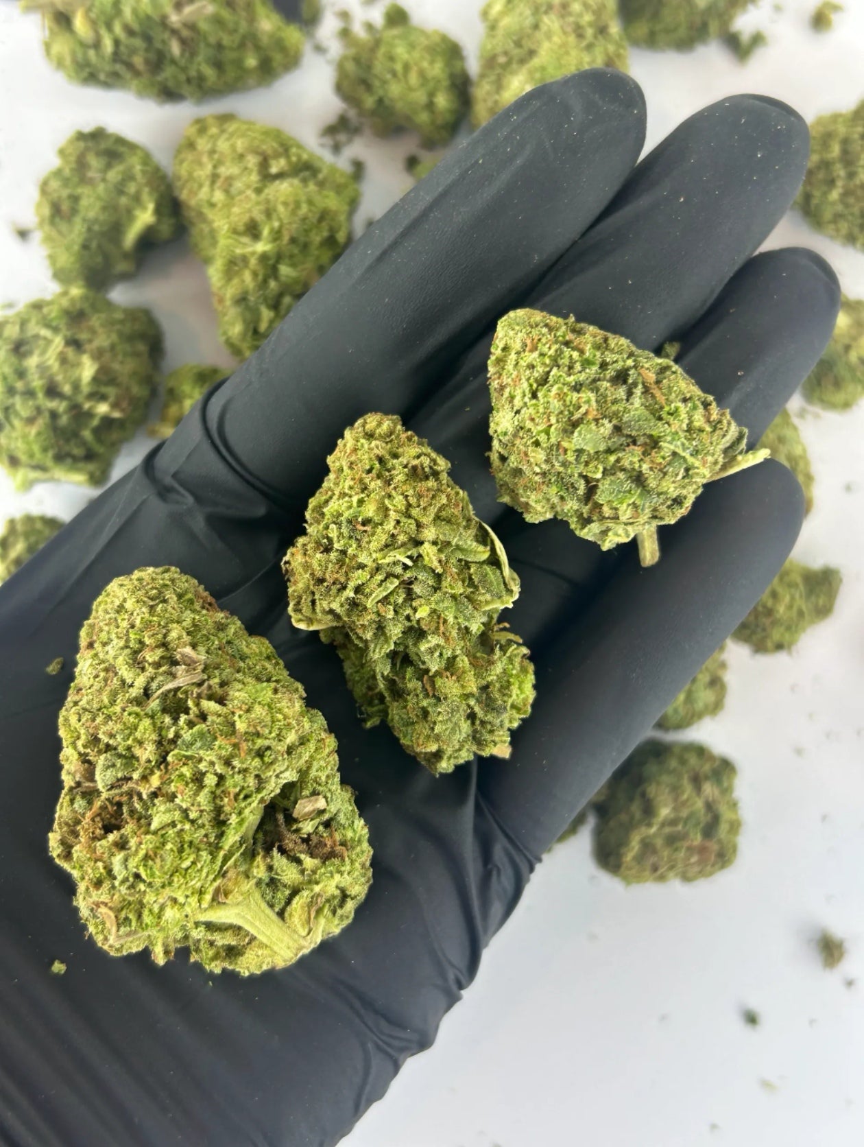 Permanent Marker CBD Blüten 5,88% CBD + 2,98% CBG – floral, kräuterig & erdig