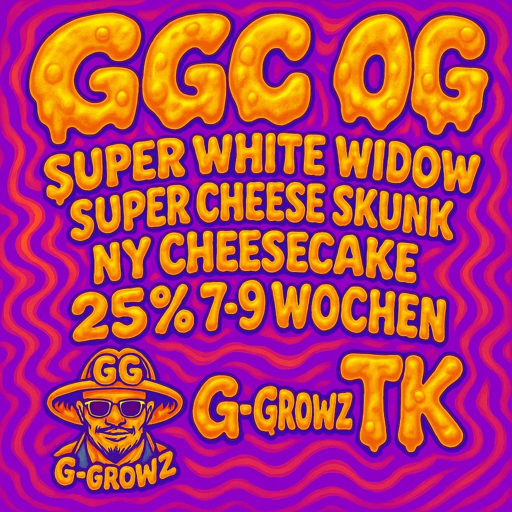 Gigi’s Grilled Cheeze OG – TK Seeds